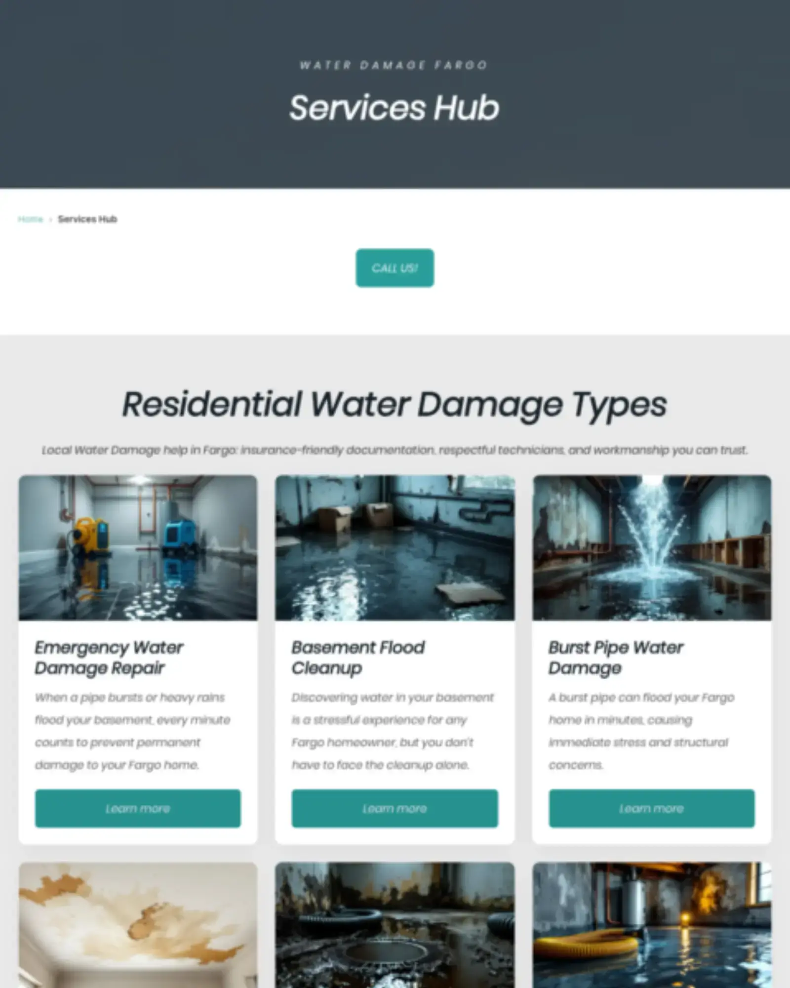 Ken Caryl — mold removal